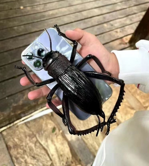 Fun phone protective case