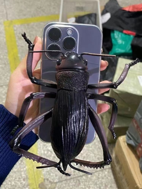 Fun phone protective case