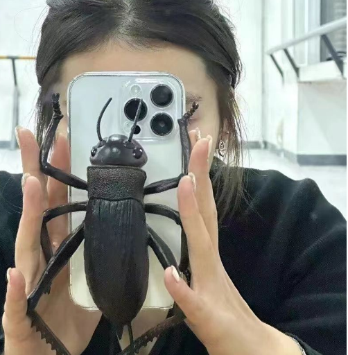 Fun phone protective case